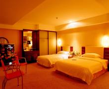 酒店客房 酒店客房