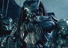AVP AVP