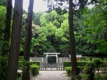 敏达天皇河内矶长中尾陵相片